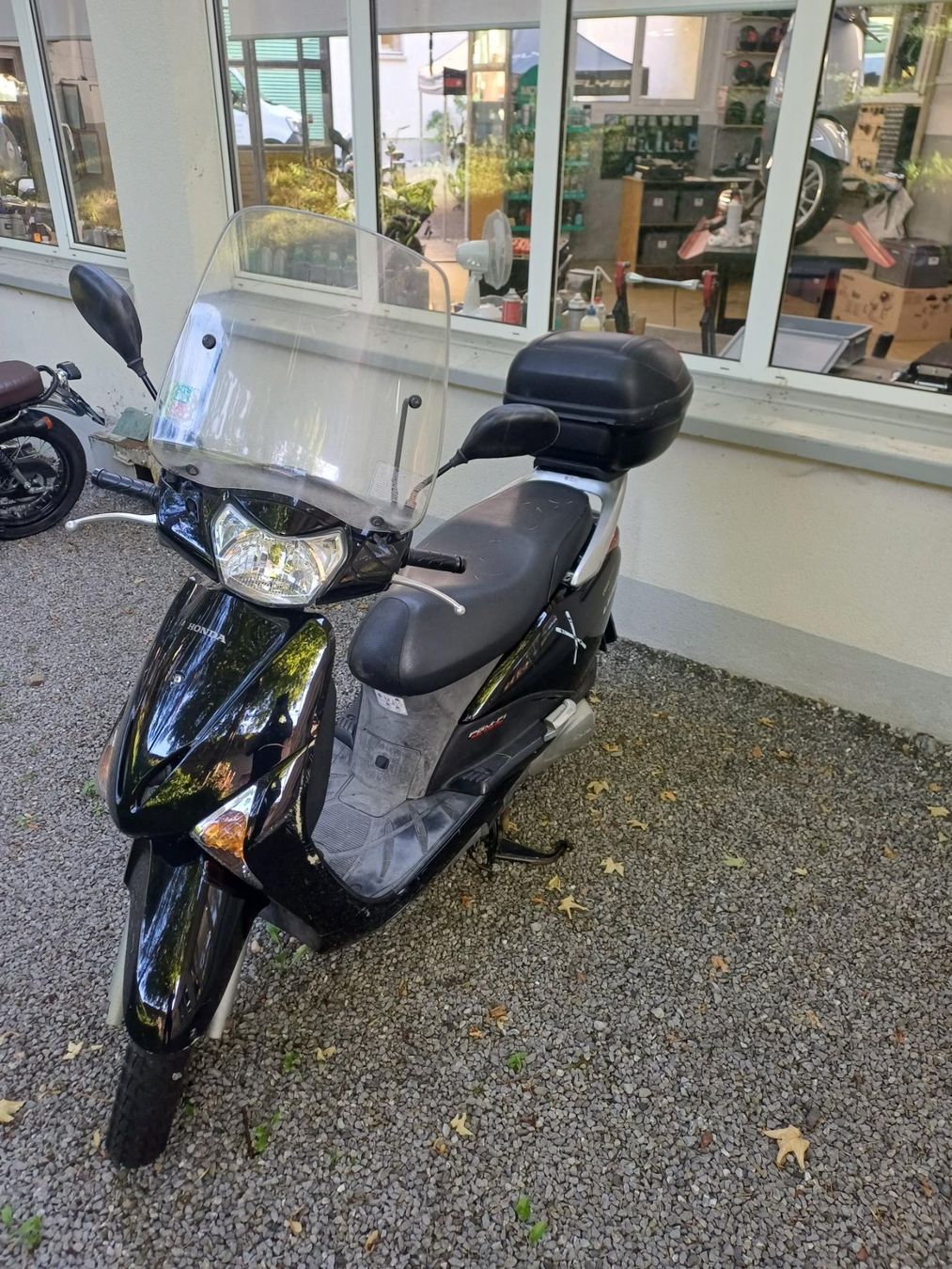 Honda Scooters: Roller Honda NHX110 Ab Platz! – Défectueux à Appenzell par hgmotos 1