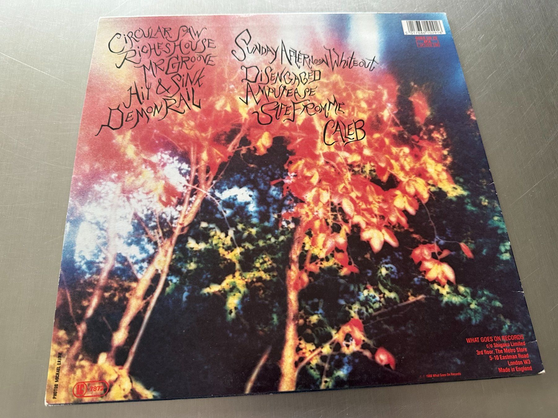Dischi in vinile: LIVE SKULL LP POSITRACTION - SONIC YOUTH – Usato da Sion venduto da jaipur1401 1