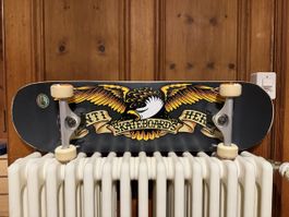 Anti Hero Skateboard, Top Zustand