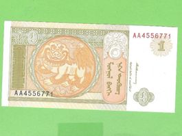 Mongolei: 1 Tögrög Banknote, Jahr unbekannt, Top Zustand