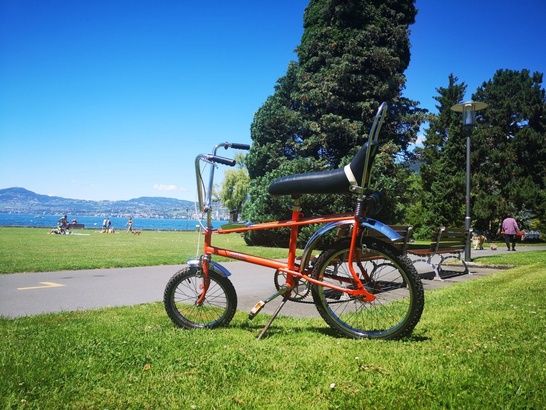 Biciclette: Velo Raleigh chopper – Usato da Montreux venduto da mor_ym7d 3