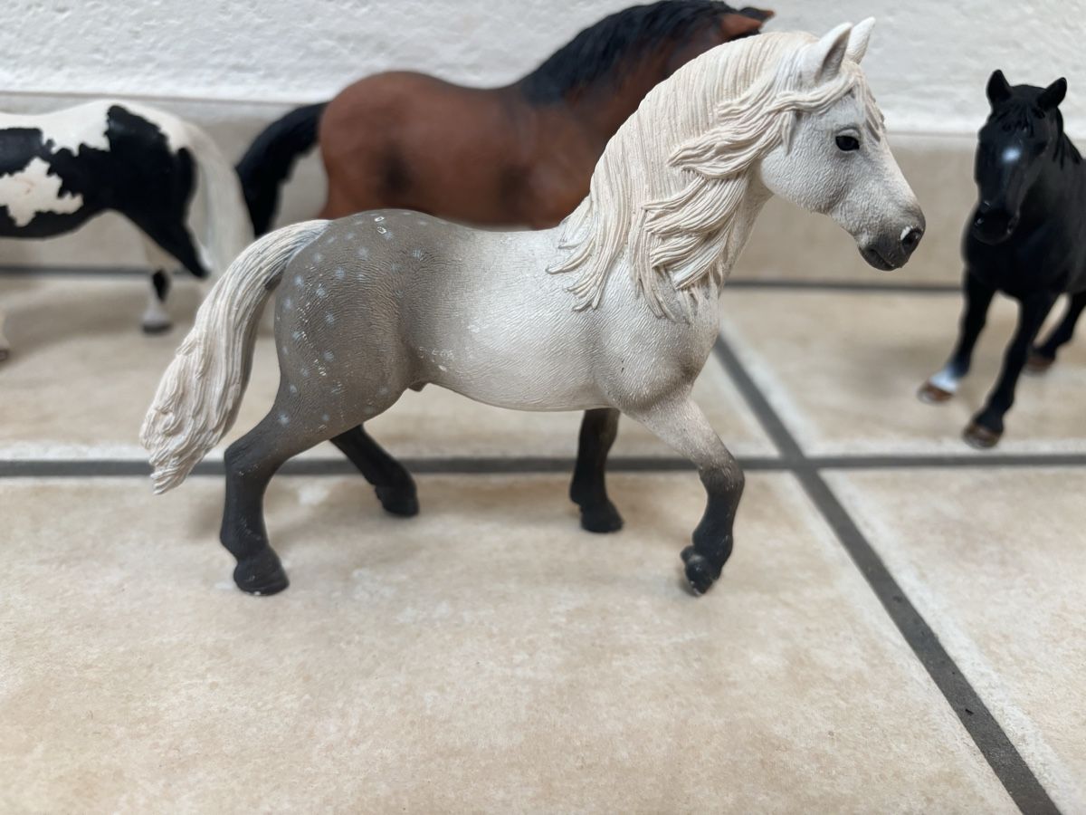 Schleich Giocattoli: Schleich Pferde – Usato da Hinwil venduto da princess_12 3