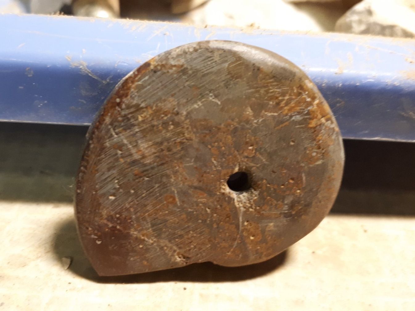Fossilien: Ammonit – Gebraucht aus Liestal von Stephanoceras1 2