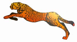 Tierbild, Gepard, Raubkatze, Bild