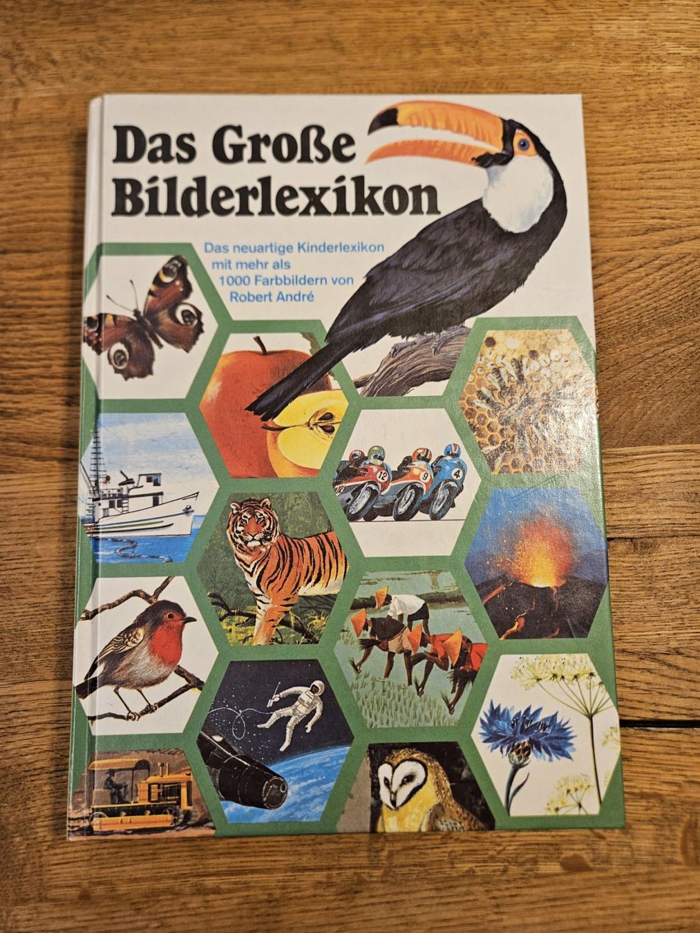 Libri: Antikes Kinderbuch - Das Grosse Bilderlexikon – Usato da Birr venduto da DisDas