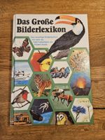 Antikes Kinderbuch - Das Grosse Bilderlexikon