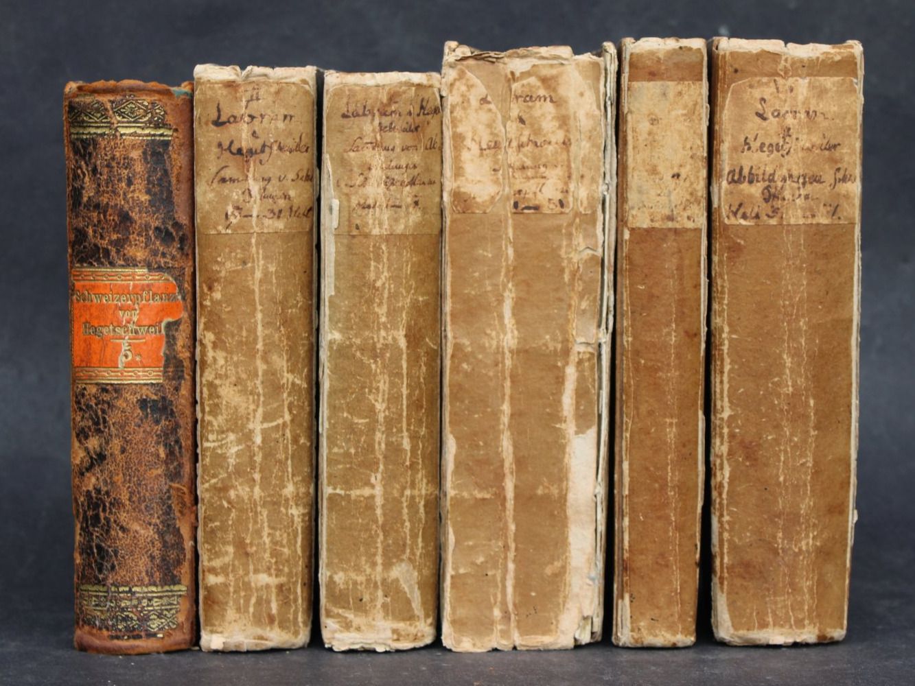 Libri: HEGETSCHWEILER,SAMMLUNG VON SCHWEIZER PFLANZEN,480 TAFELN – Usato da Guensberg venduto da Herzaktion