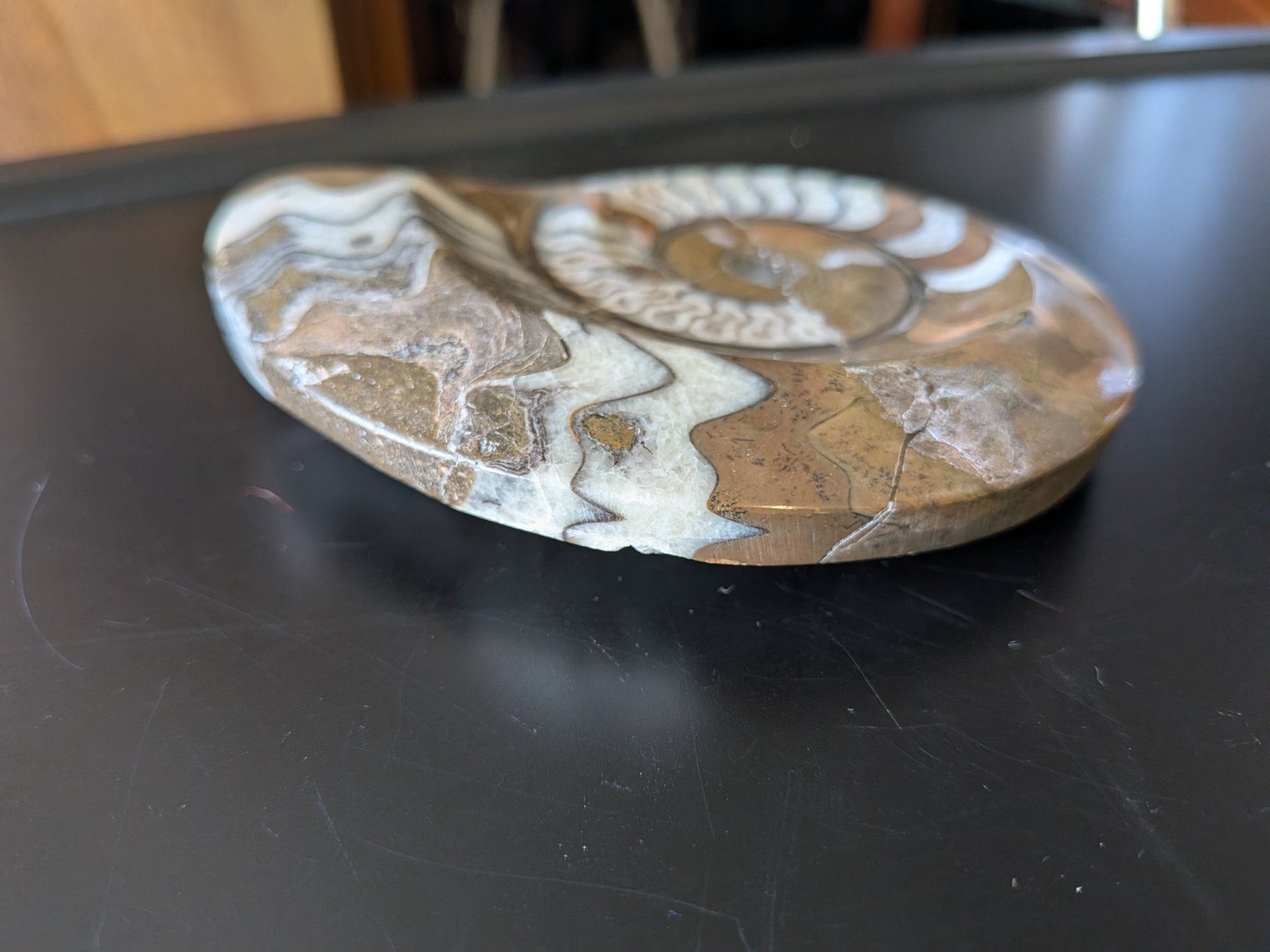 Fossilien: Fossil – Gebraucht aus Emmen von magelan 1