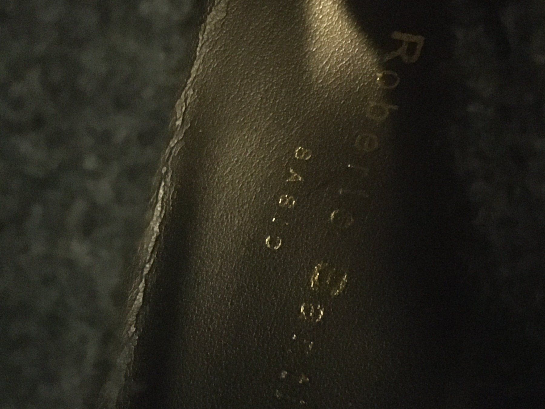 Roberto Santi Scarpe da donna: Damen Stiefeletten , Leder,  Gr. 40, NEU – Nuovo (secondo la descrizione) da Heerbrugg venduto da dwfg 8