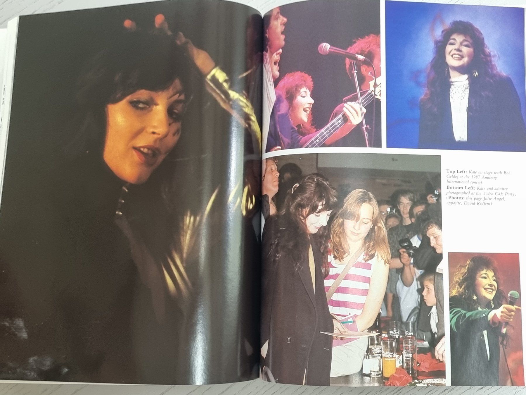 Libri: Kate Bush: A Visual Documentary - Rarität von 1988 – Usato da Villigen venduto da Tschachtlan 5