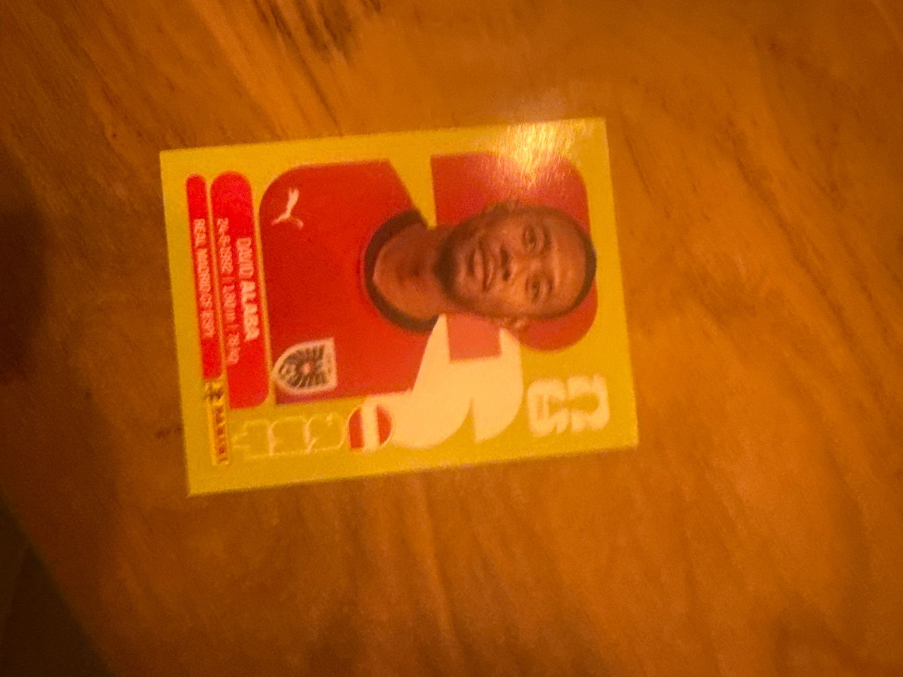 Panini Sammelbilder & Trading cards: Panini – Gebraucht aus Langnau i. E. von Acrjl