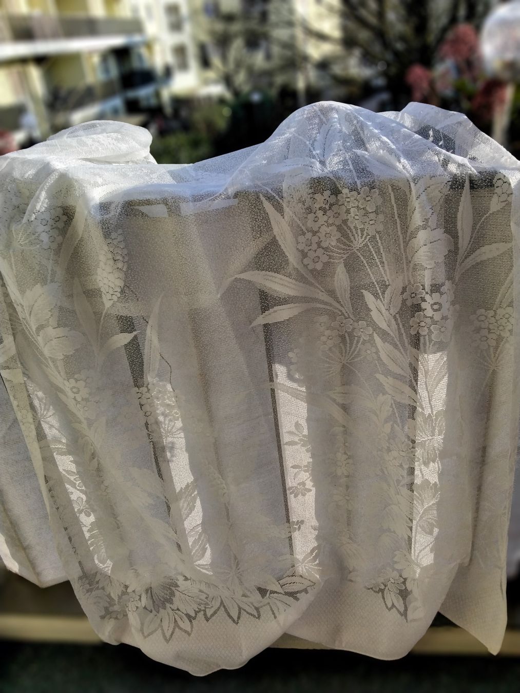 Tende: VORHANG WEISS 115 X 215 CM – Usato da Biel/Bienne venduto da dasi3