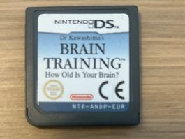 Nintendo DS Spiel Brain Training guter Zustand