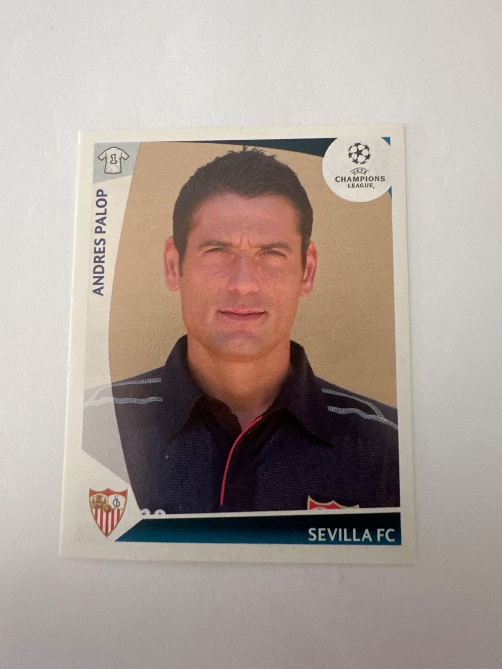 Panini Carte collezionabili: Panini UEFA Champions League 2009-2010 - Nr. 414 – Usato da Sulz AG venduto da DealWerk