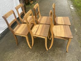 6 Gleiche Biedermeierstühle massiv Nussbaum frisch geölt.