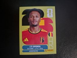 Panini WM 26 BEL 19