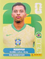 Panini FIFA World Cup BRA 15