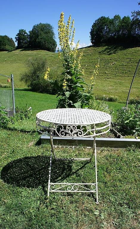 Tables: Antiker Vintage Gartentisch – D'occasion à Walzenhausen par OK_1