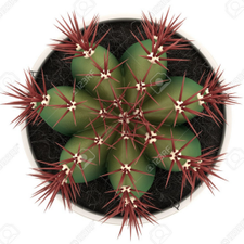 Profile image of Sam-stress