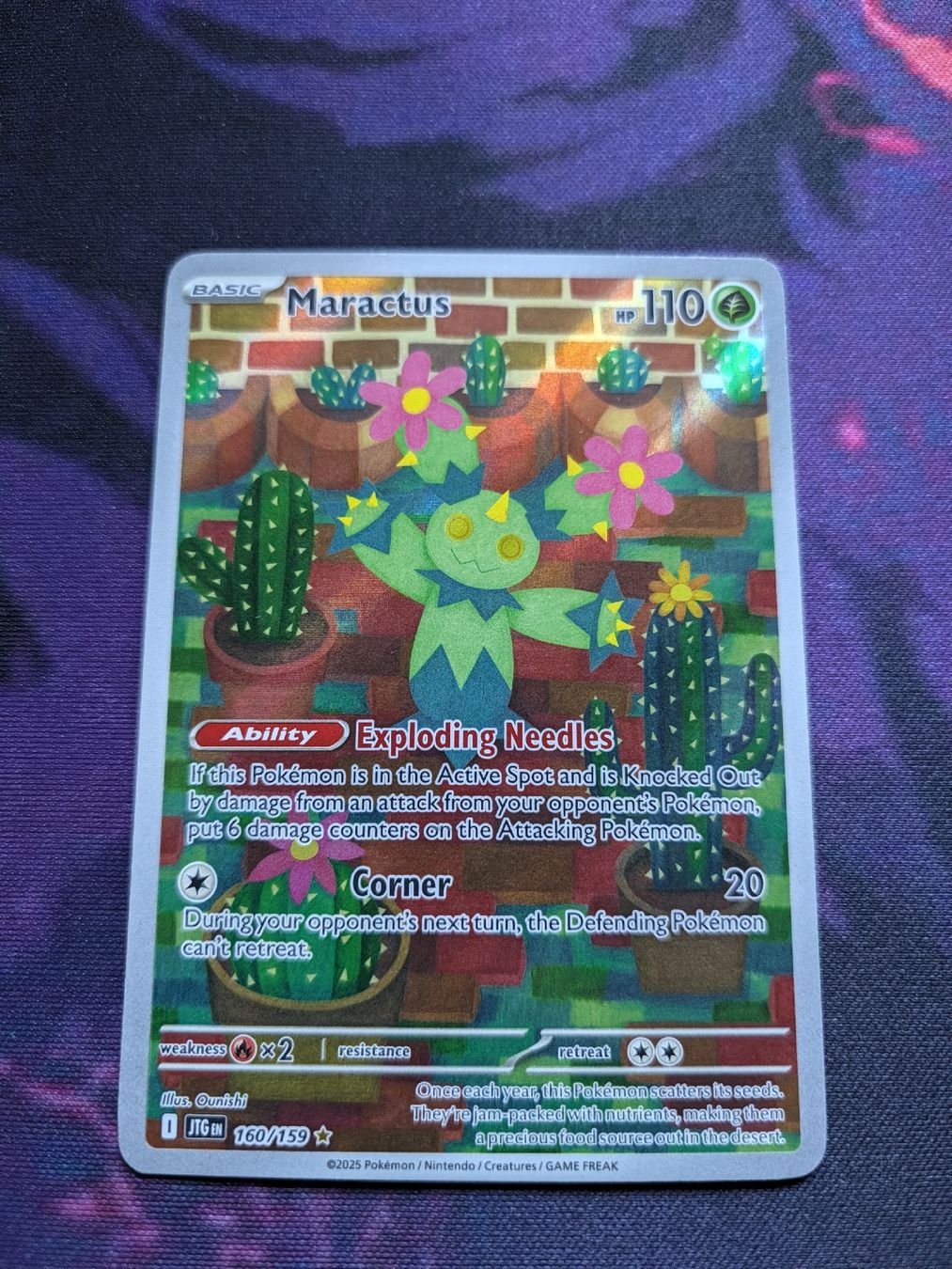 Pokémon Carte collezionabili: Maractus JTG 160/159 EN – Nuovo (secondo la descrizione) da Chur venduto da FreakofRarity