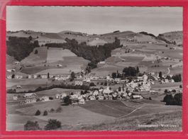 SCHÖNENGRUND - WALD (APP.), 16.8.1968
