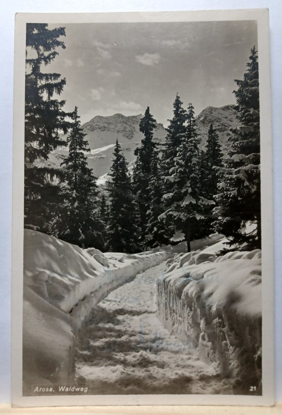 Ansichtskarten: No 21, Arosa,  Waldweg, 1929 – Gebraucht aus Aarau Rohr von mgvw