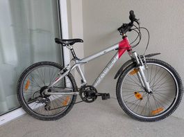 Bicicletta da ragazzo