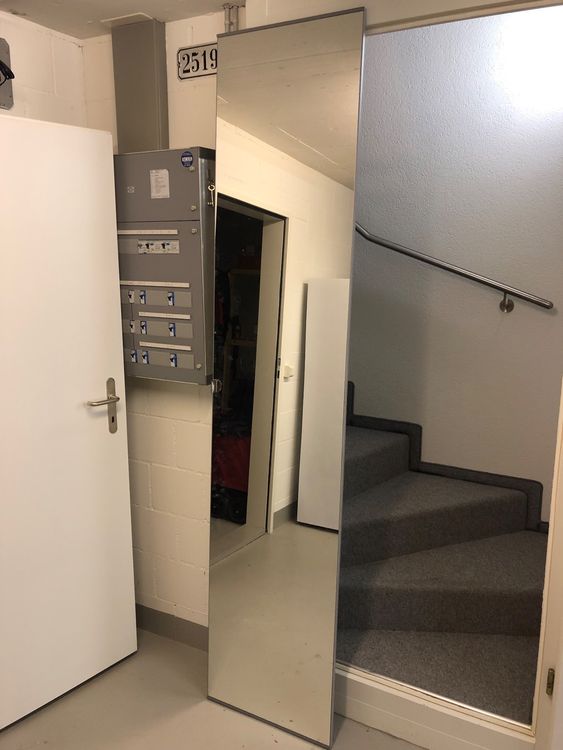 Ikea Pax Vikedal Spiegeltür 50x229 cm | Kaufen auf Ricardo