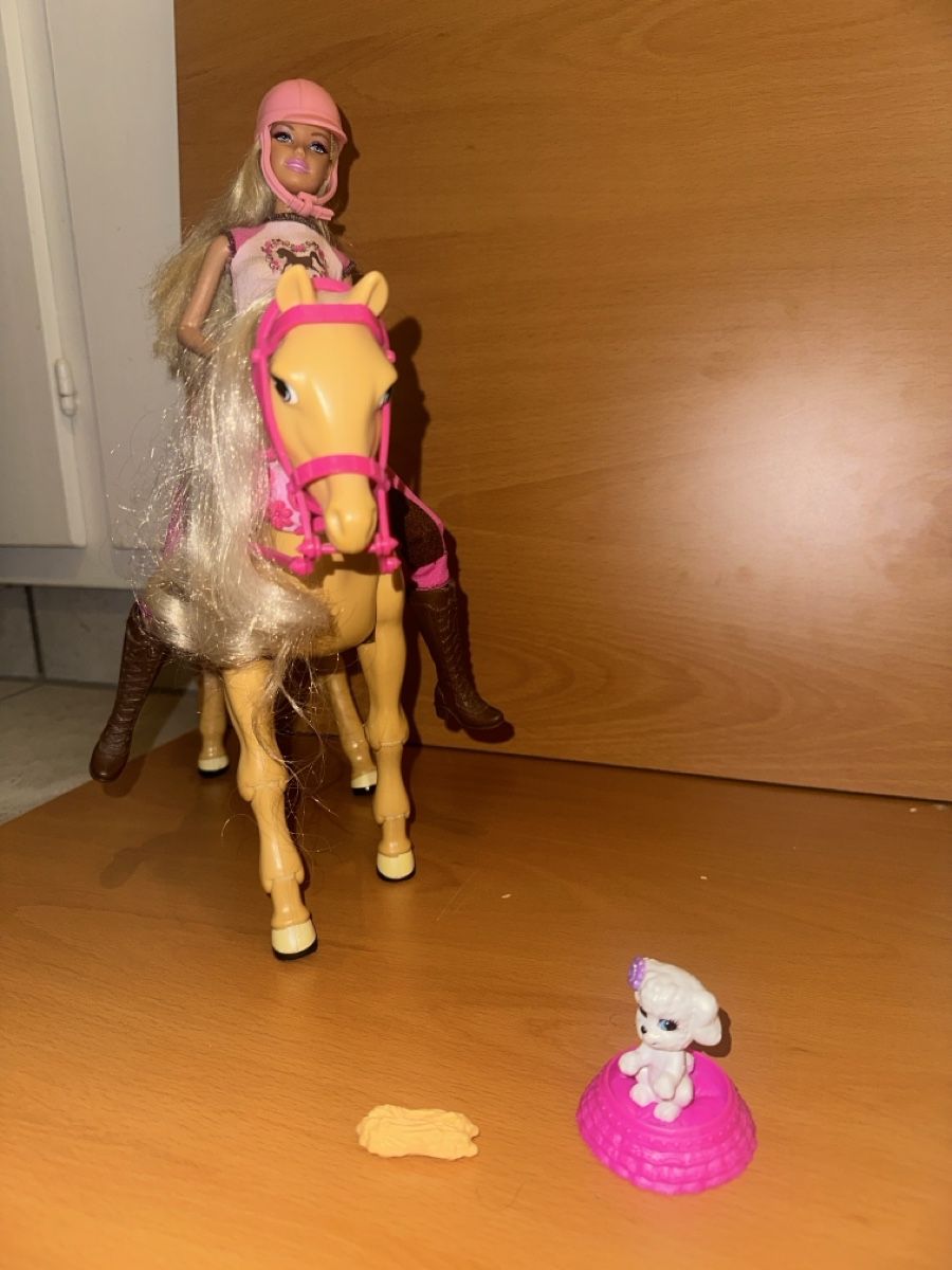 Bambole: Barbie mit Pferd – Usato da Wettingen venduto da smb_595l