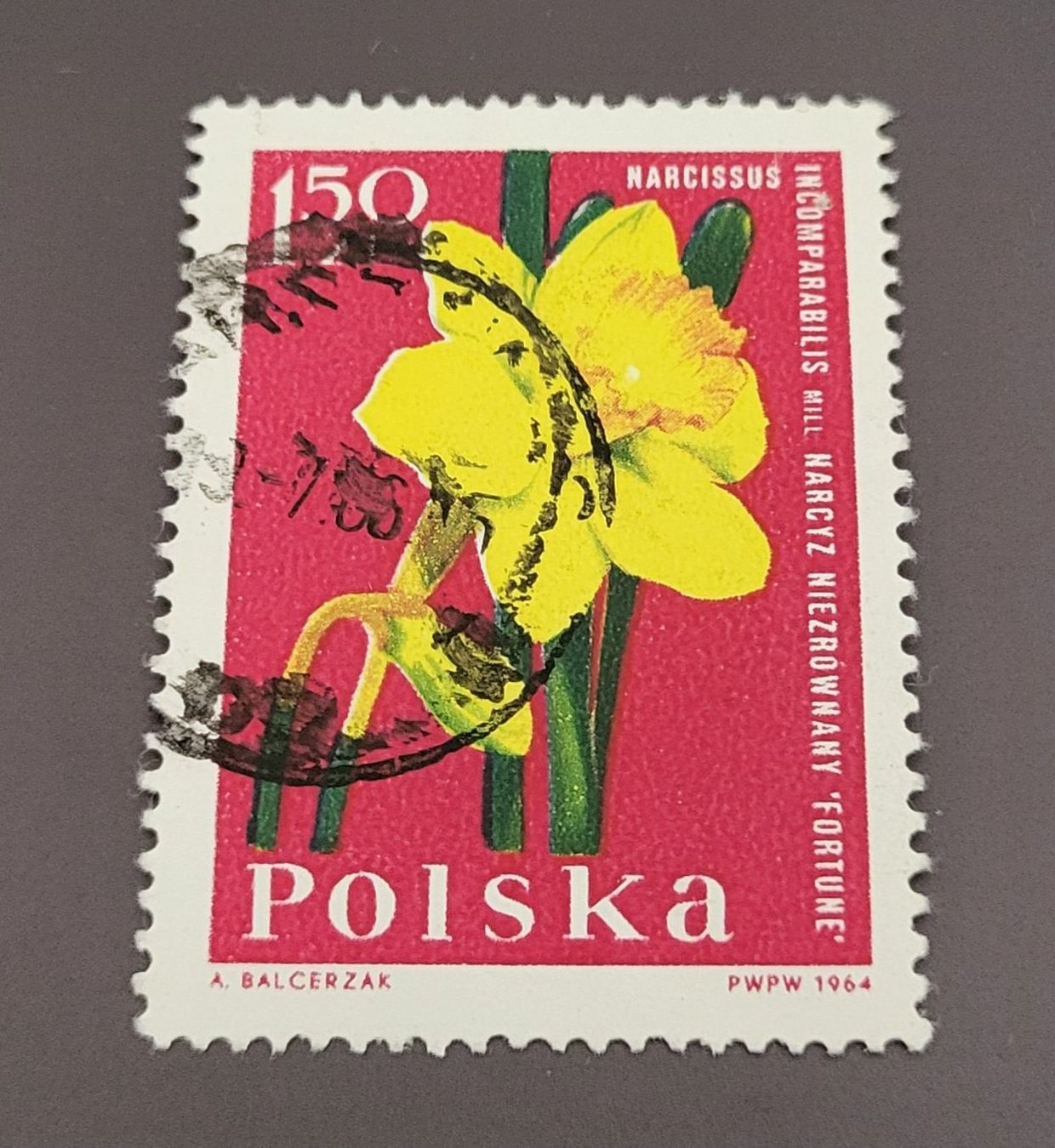 Tutti i francobolli: Polen 1964 Blumen briefmarke – Usato da St Gallen venduto da Stampsalshobby