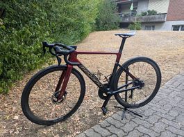 Megamo Pulse 15 2025 | 105 Di2 | Duke Carbon Laufräder