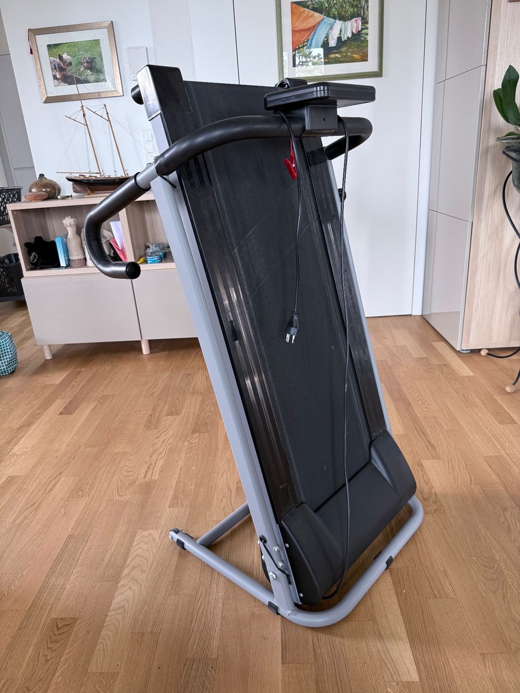Lade-, Silier- & Transportwagen: Tapis de course pliable – compact et pratique – Gebraucht aus St-Gingolph von pag_829c 2