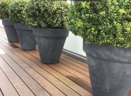 Blumentopf Pflanzentopf Pflanzengefäss Pflanzen Blumen Topf