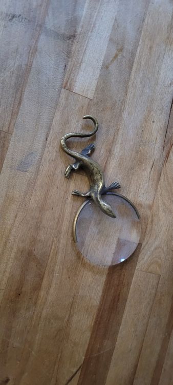 Cadre lézard vintage | La maison des tableaux