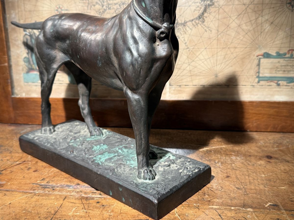 Sculture & Statue: Antike Hunde Skulptur – Usato da schaffhausen venduto da VintAntik_1980 5