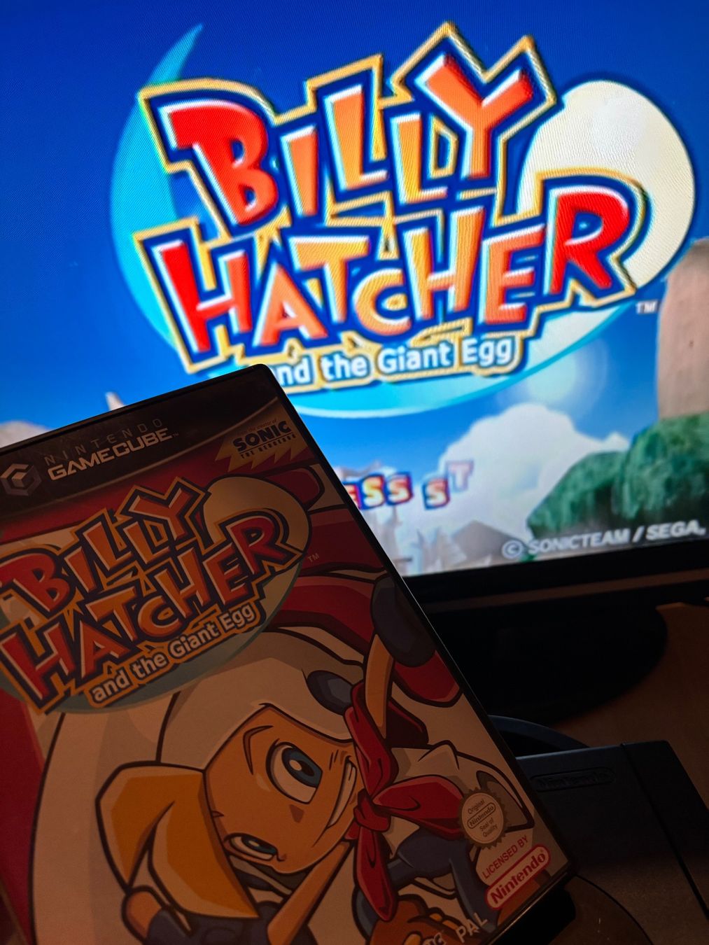 Nintendo Giochi: BILLY HATCHER - NINTENDO GAMECUBE – Usato da Zürich venduto da hiddentreasures_zh 1