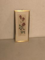 Radierung Rosen handkoloriert gerahmt 26x11cm guter Zustand