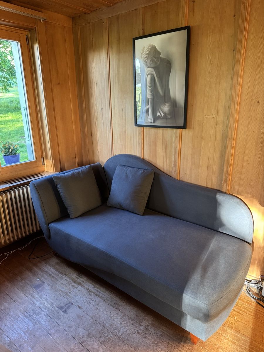 Divani: Chaiselounge/Récamire – Usato da Mamishaus venduto da Luno63