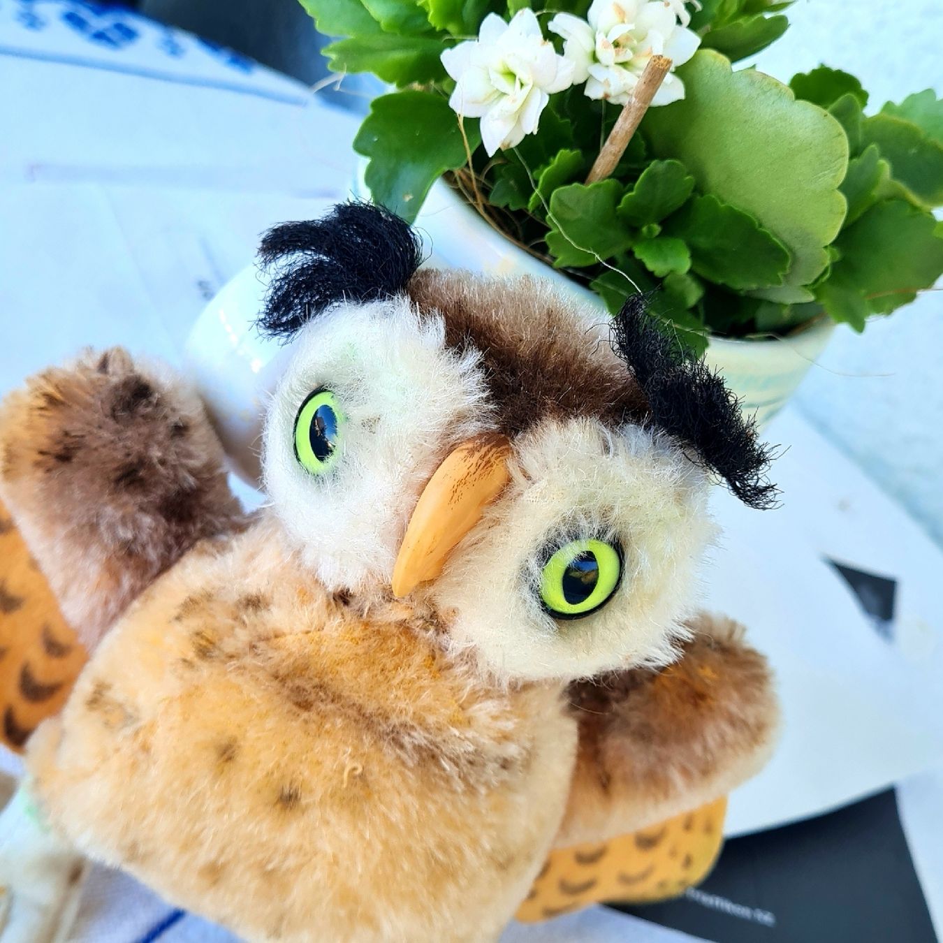 Jouets: STEIFF? DIE KLEINE EULE IST EINFACH SÜSS – D'occasion à Siebnen par annigannig 5
