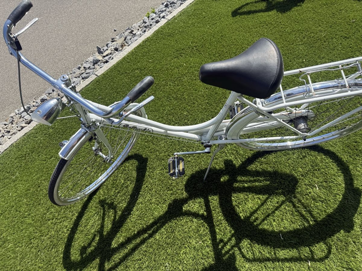 Biciclette: Bahnhof Velo – Usato da Horriwil venduto da Carrera68 4