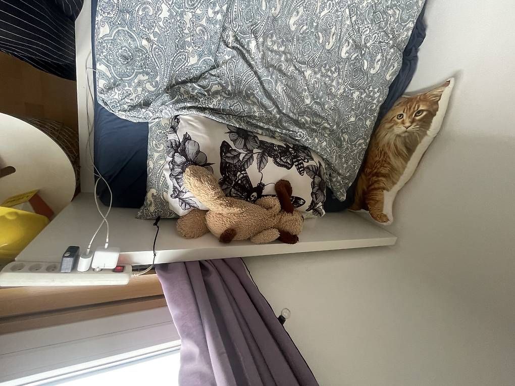 Betten: MALM Ikea Bett ohne Matratze  – Gebraucht aus Hittnau von eva_95vw 2