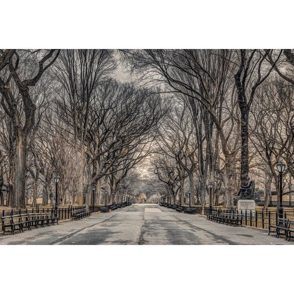 Foto & Immagini: Poster Central Park New York – Nuovo e nell'imballaggio originale da Schwyz venduto da rs-trend