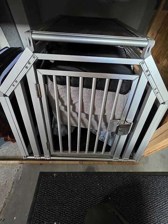 Gabbie, trasporto & Sicurezza: Hunde Box – Usato da emmenbrücke venduto da oirad02 4