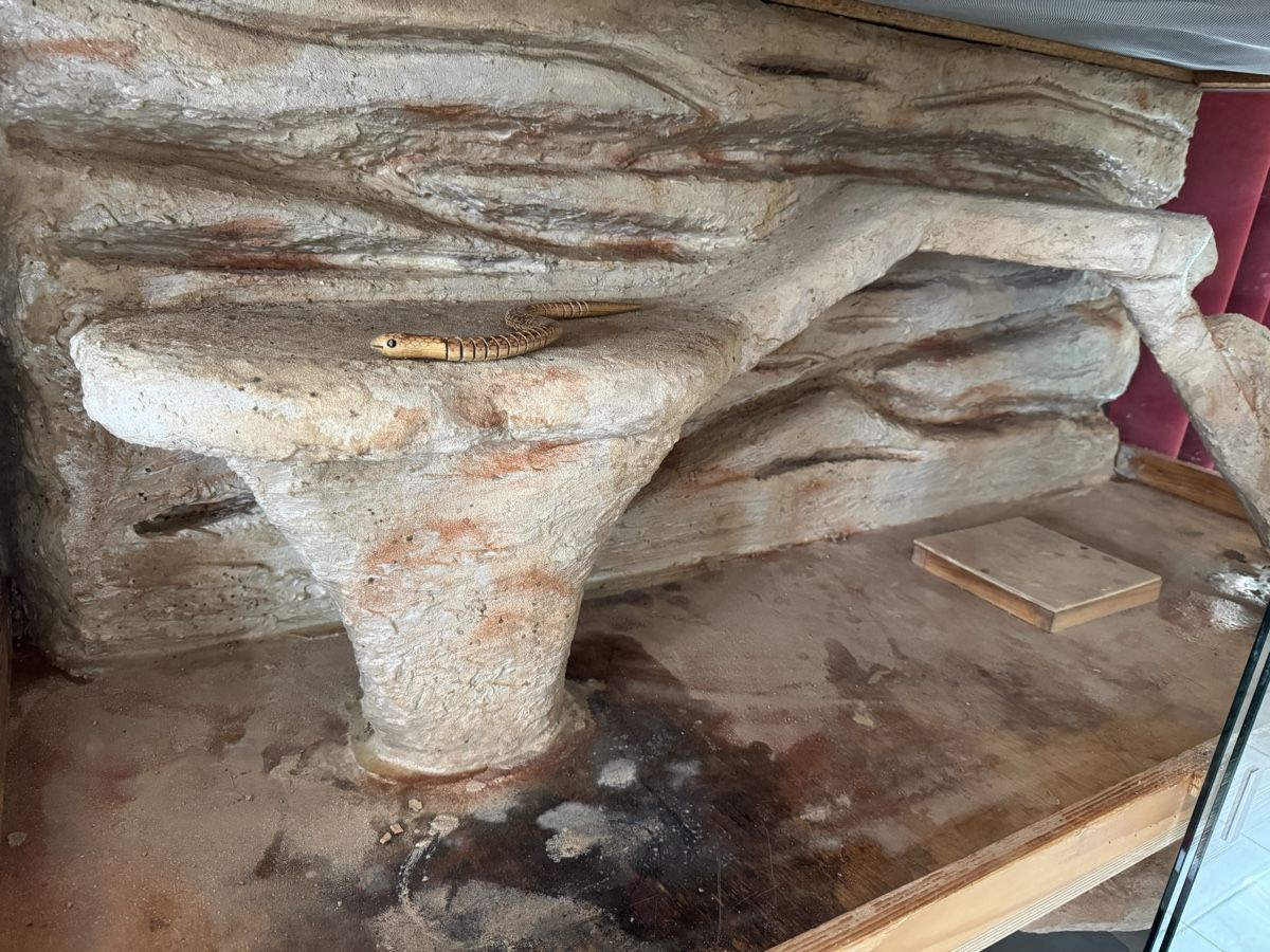 Terrario: Terrarium Forex Aluprofile – Usato da Wittinsburg venduto da Kira77 3