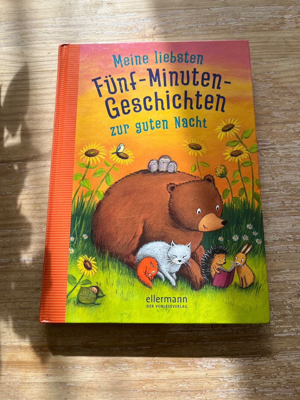 Libri: Buch Fünf-Minuten-Geschichten – Usato da Eschenbach SG venduto da Joey-Li