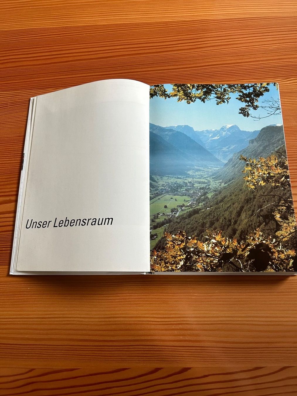 Libri: Glarner Heimatbuch 1992 – Usato da Zürich venduto da jimmy_12 3