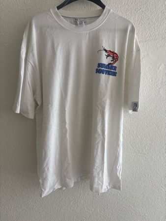 T-Shirt Zara Weiss Grösse L Herren mit Print guter Zustand