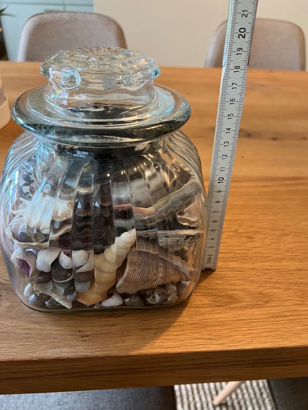Fossili: Muscheln diverse – Usato da Fällanden venduto da Caramel7 6