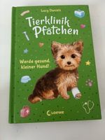 Tierklinik Pfoetchen werde gesund kleiner Hund