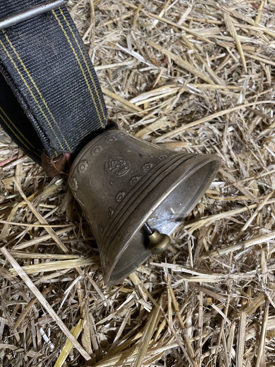 Cloches & sonnailles: Glocke für Schafe oder Ziegen – D'occasion à Walterswil BE par Cad6